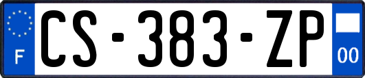 CS-383-ZP