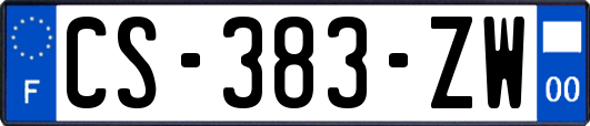 CS-383-ZW