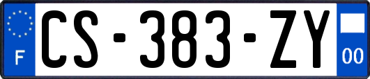 CS-383-ZY