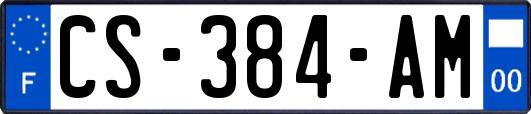 CS-384-AM