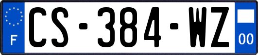 CS-384-WZ