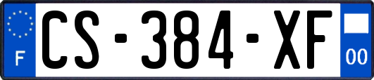 CS-384-XF