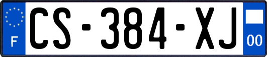 CS-384-XJ