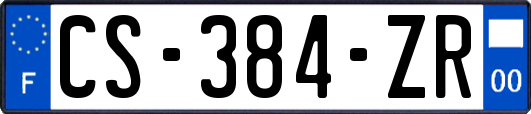 CS-384-ZR