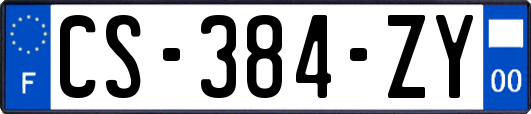 CS-384-ZY