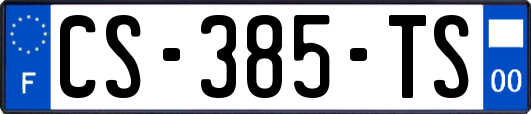 CS-385-TS