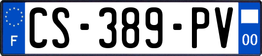 CS-389-PV