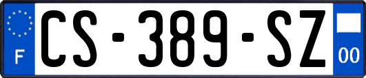 CS-389-SZ