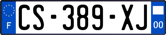 CS-389-XJ