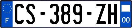 CS-389-ZH