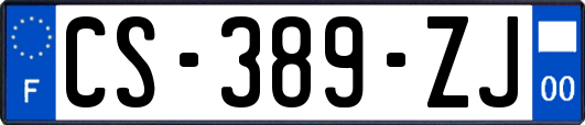 CS-389-ZJ