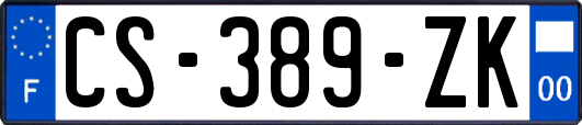 CS-389-ZK