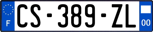 CS-389-ZL