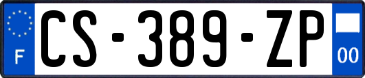 CS-389-ZP