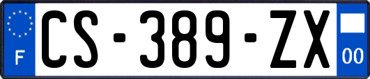 CS-389-ZX