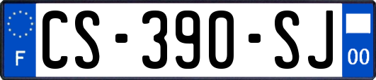 CS-390-SJ