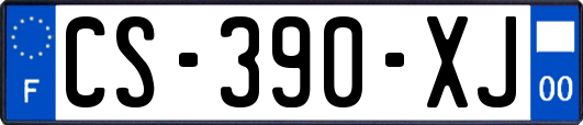 CS-390-XJ