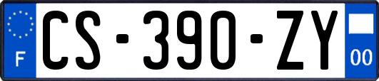 CS-390-ZY