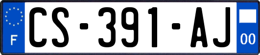 CS-391-AJ