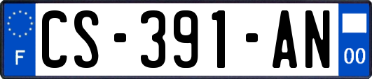 CS-391-AN