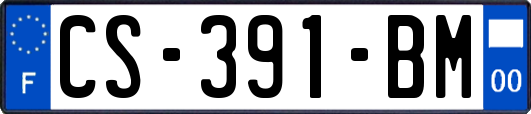 CS-391-BM