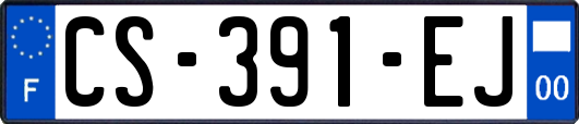 CS-391-EJ