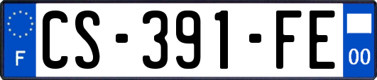 CS-391-FE