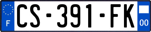 CS-391-FK