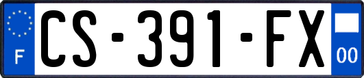 CS-391-FX