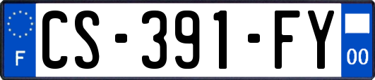 CS-391-FY