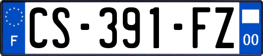 CS-391-FZ
