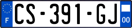 CS-391-GJ