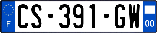 CS-391-GW