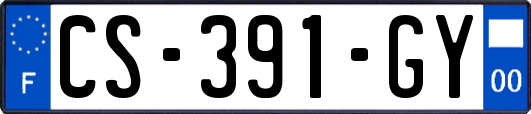 CS-391-GY