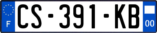 CS-391-KB