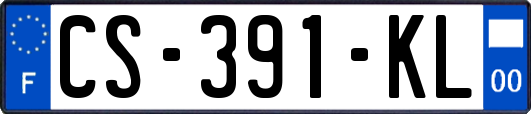 CS-391-KL
