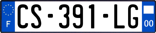CS-391-LG