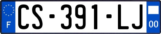 CS-391-LJ