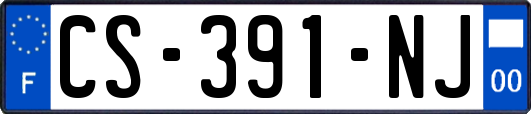 CS-391-NJ