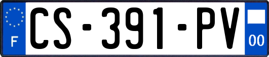 CS-391-PV