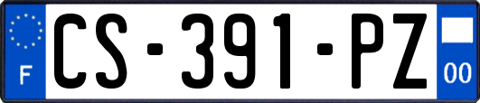 CS-391-PZ