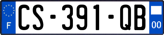 CS-391-QB