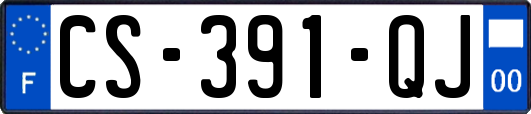 CS-391-QJ