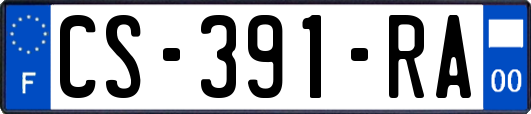 CS-391-RA