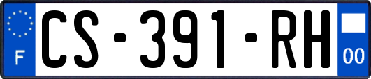 CS-391-RH