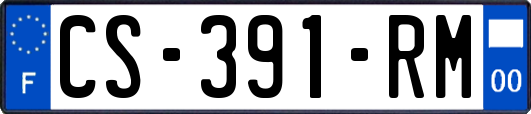 CS-391-RM