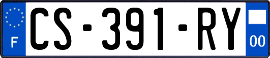 CS-391-RY