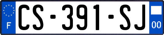 CS-391-SJ