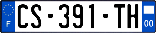 CS-391-TH