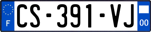 CS-391-VJ